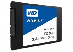 حافظه اس اس دی وسترن دیجیتال مدل Blue با ظرفیت 250 گیگابایت