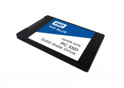 حافظه اس اس دی وسترن دیجیتال مدل Blue با ظرفیت 250 گیگابایت
